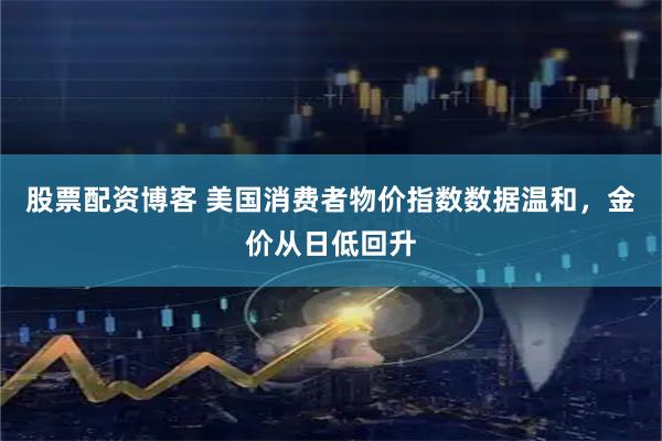股票配资博客 美国消费者物价指数数据温和，金价从日低回升
